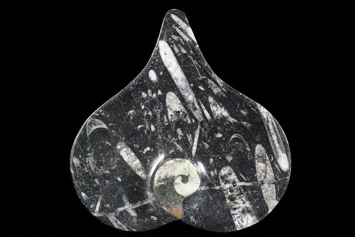 Heart Shaped Fossil Goniatite Dish #73766